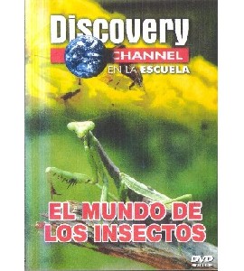 Discovery - El Mundo de los Insectos