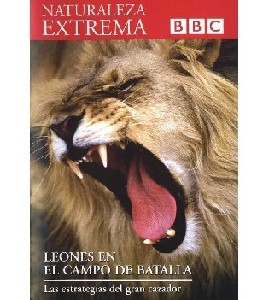 BBC - Naturaleza Extrema - Leones en el Campo de Batalla