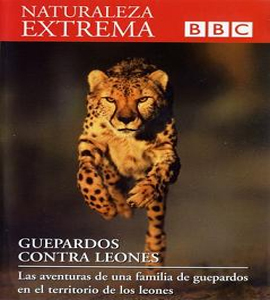 BBC - Naturaleza Extrema - Guepardos contra Leones