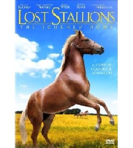 Lost Stallions - The Journey Home