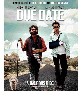 Blu-ray - Due Date