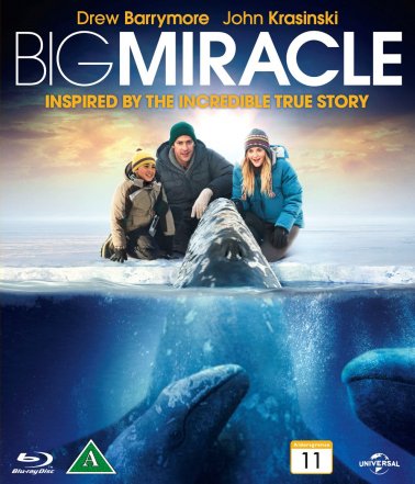 Blu-ray - Big Miracle - Everybody Loves Whales