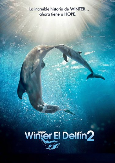 Winter - El delfin 2