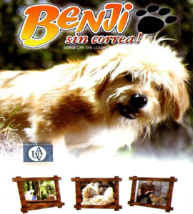 Benji off the leash!