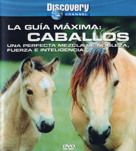 Discovery Channel - La Guia Maxima: Caballos