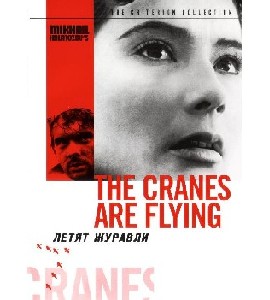 The Cranes are Flying - Letyat Zhuravli