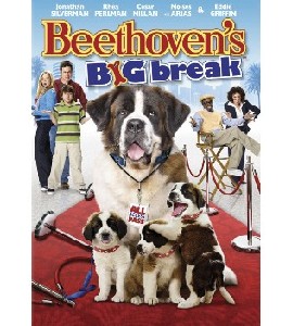Beethoven's Big Break