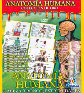 Anatomia Humana - Vol. 2