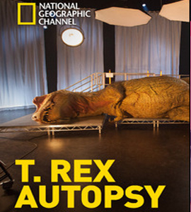 Autopsia a un T-REX