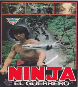 Ninja bugeicho momochi sandayu