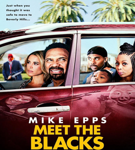 Blu-ray - Meet the Blacks