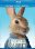 Blu-ray - Peter Rabbit
