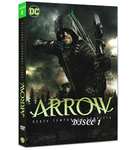 Arrow (TV Series) Season 6 Disco-1