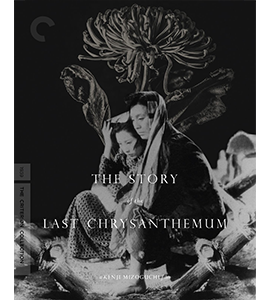 The Story of the Last Chrysanthemums