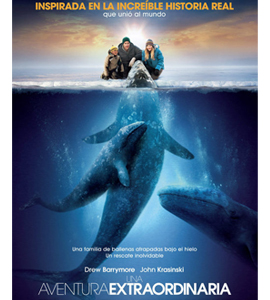 Big Miracle (Everybody Loves Whales)