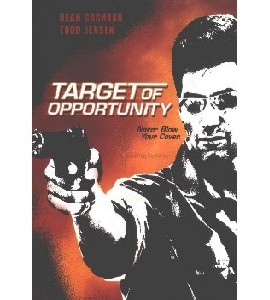 Target of Opportunity