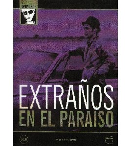 Stranger than Paradise