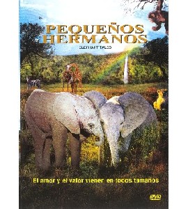Elephant Tales - La balade des Elephants