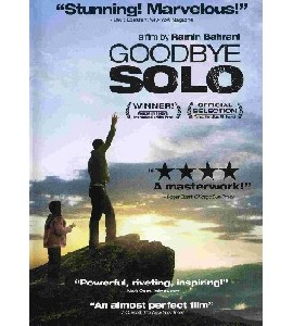 Goodbye Solo