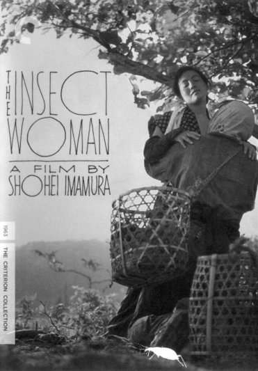 The Insect Woman