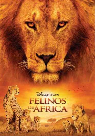 Felinos de Africa