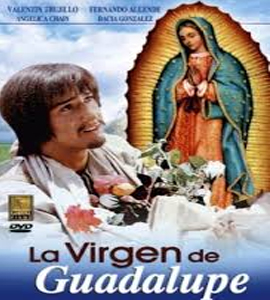 La virgen de Guadalupe