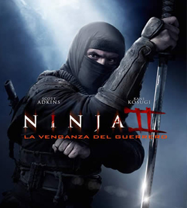 Ninja: Shadow of a Tear