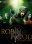 Robin Hood - Season 1 - Disc 3