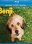 Blu-ray - Benji