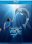 Blu-ray - Dolphin Tale 2