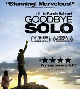 Goodbye Solo