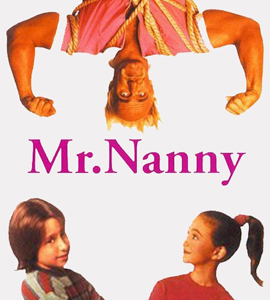 Mr. Nanny