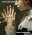 American Horror Story: My Roanoke Nightmare Temporada 6 Disco 1