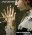 American Horror Story: My Roanoke Nightmare Temporada 6 Disco 4
